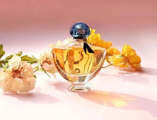 《香水入门完全指南》从0学香水！