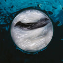 碧欧泉 抗笑纹眼霜 15ML