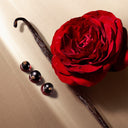 阿玛尼 挚爱 女士香精