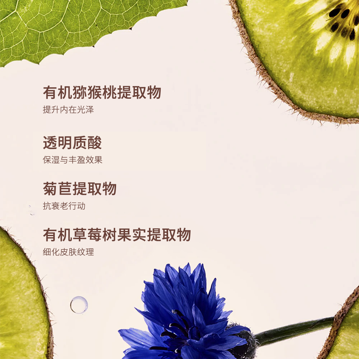 娇韵诗 透亮轻盈润色乳素颜霜