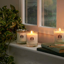 阿特金森 不列颠群岛 香薰蜡烛 (玫瑰与莓果) 200G