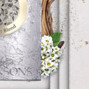 阿特金森 铂金混香 馥郁版香精 100ML