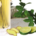 阿特金森 汤力共鸣 室内香薰