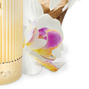 阿特金森 华贵梅菲尔 室内香薰