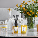 帕尔玛之水 在一起 香薰蜡烛 200G