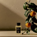 帕尔玛之水 格调之光 浮光清柚 浓香水