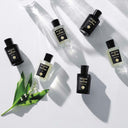 帕尔玛之水 格调之光 浮光清柚 浓香水