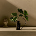 帕尔玛之水 格调之光 橡木晨光 浓香水