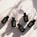 帕尔玛之水 格调之光 日落白檀 浓香水