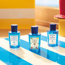 帕尔玛之水 蓝色地中海 桃金娘加州桂 淡香水 100ML限定版