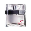 菲拉格慕 非我莫属 男士淡香水 100ML